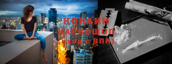 сатива Баксан