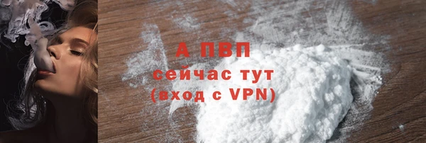 сатива Баксан