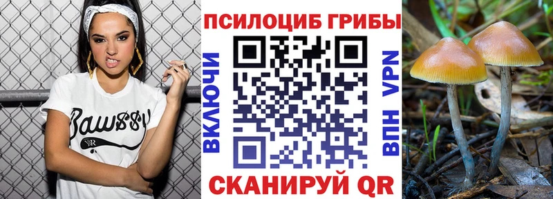 сайты даркнета официальный сайт  Неман  Галлюциногенные грибы мухоморы 